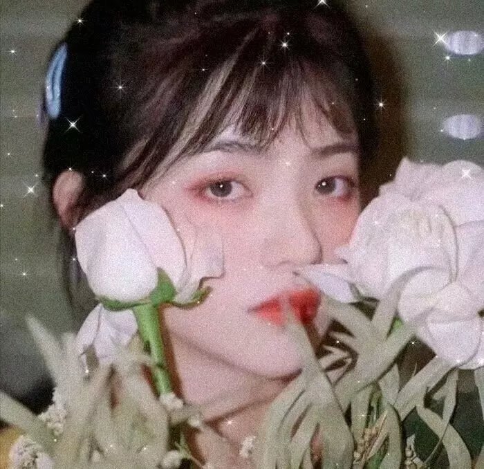 小夜莺